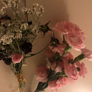 Meet your Posher, Lily